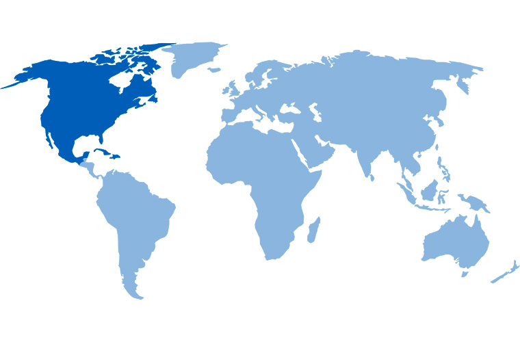 Domestic World Map